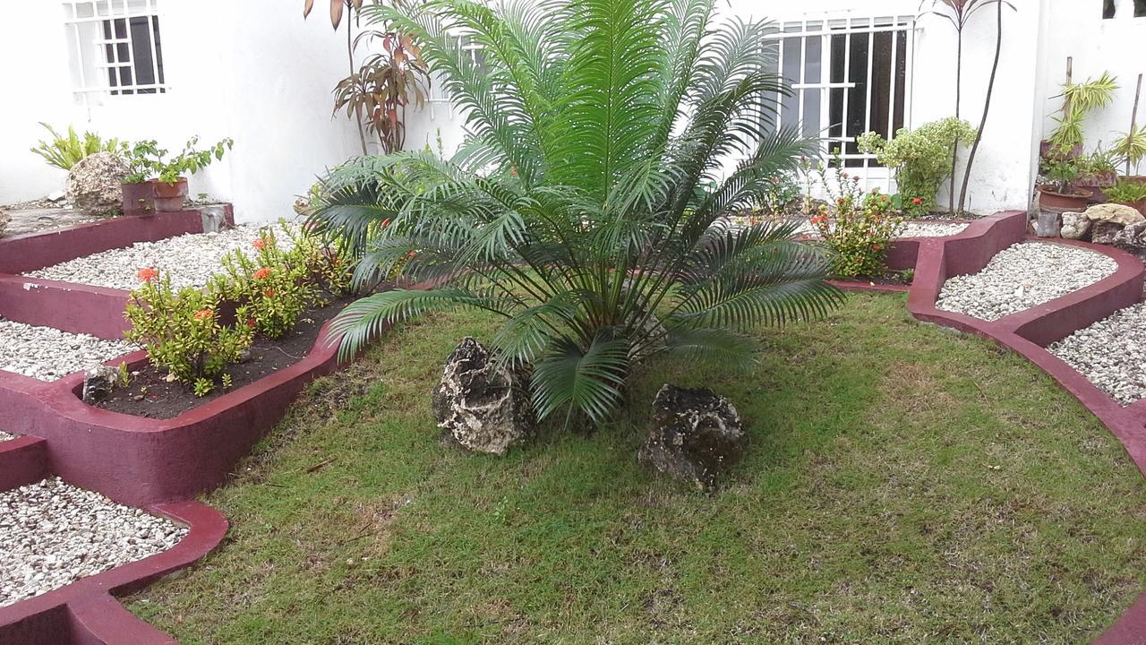 House Rapunzel Hotel Oslob Luaran gambar